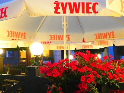 Un soir à Zywiec 