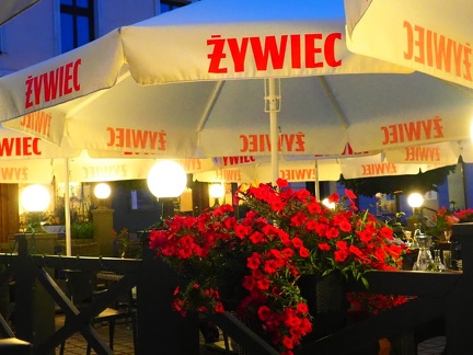 Zywiec - terrasse du café