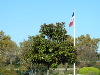 01 Nécropole de la Doua
Copyright Frania
